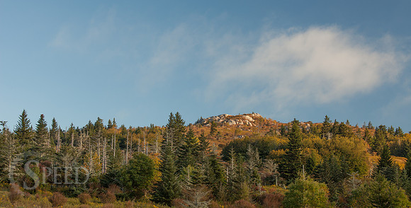 Grayson Highlands State Park
