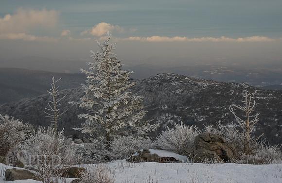 Grayson Highlands Winter