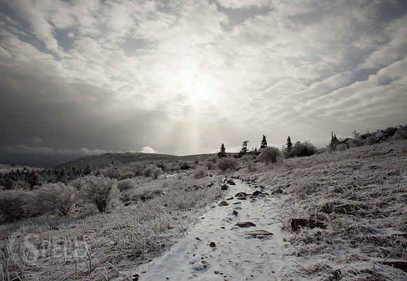 Grayson Highlands State Park