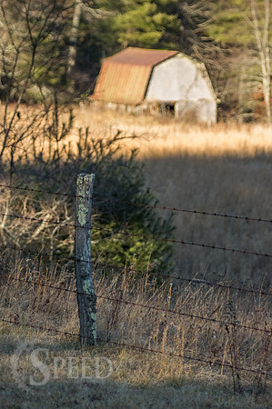 blue ridge music center area