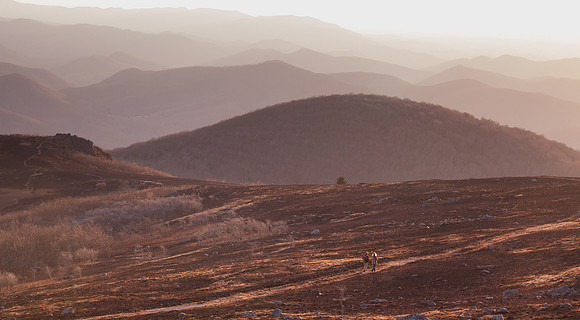 WhiteTop Mountain