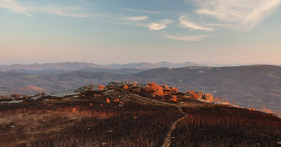 WhiteTop Mountain