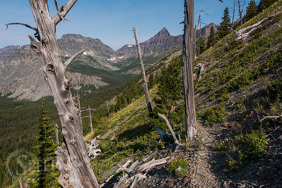 Glacier National Park Backcountry Camping