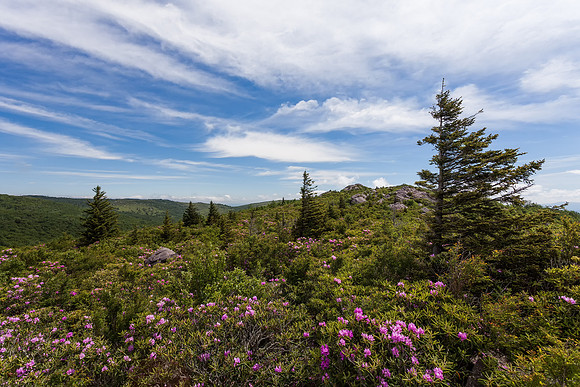 Grayson Highlands State Park