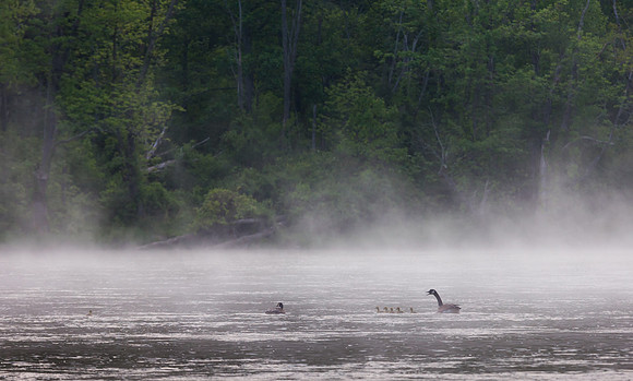 New River Trail State Park