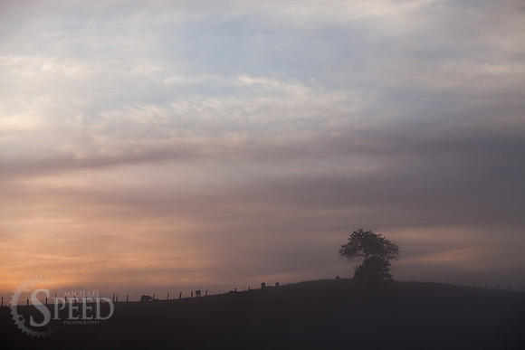 Scenic Pastures and Barns in Virginia