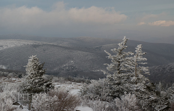 Grayson Highlands Winter