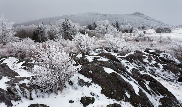 Grayson Highlands State Park