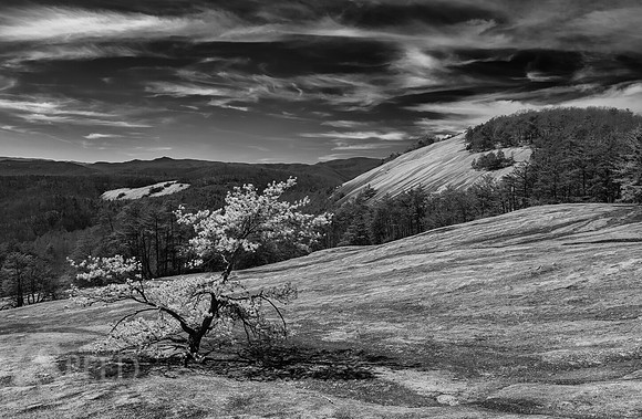 Stone Mountain State Park North Carolina