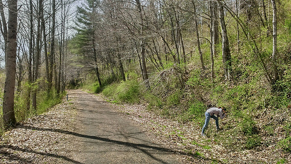 Springtime on New River Trail