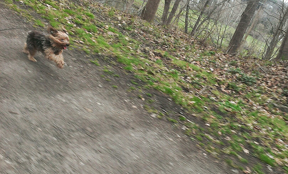 Springtime on New River Trail