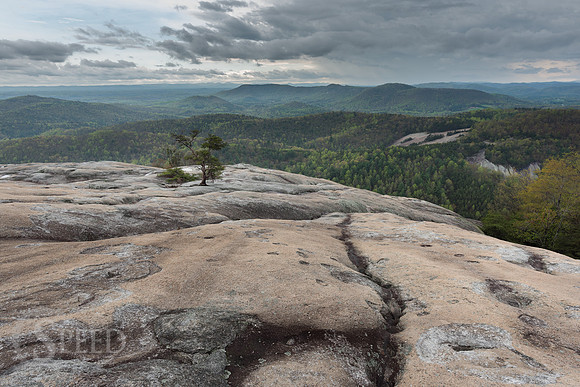 Stone Mountain State Park North Carolina