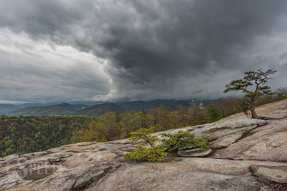 Stone Mountain State Park North Carolina