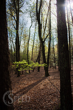Stone Mountain State Park North Carolina