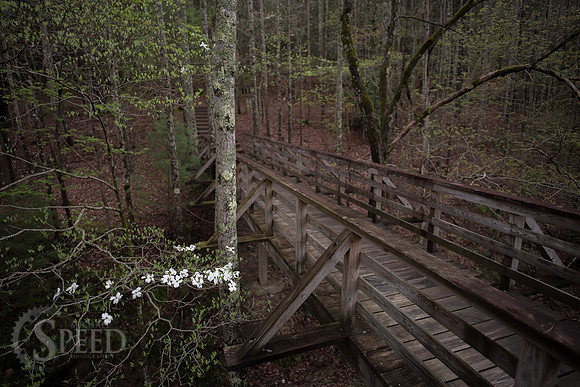 Stone Mountain State Park North Carolina
