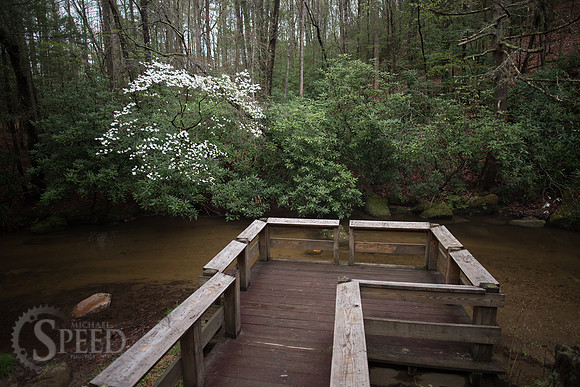 Stone Mountain State Park North Carolina