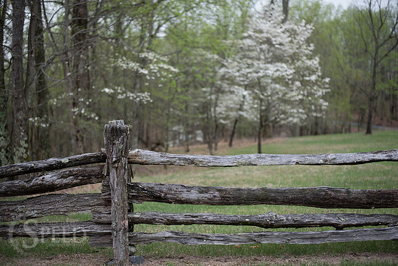 Stone Mountain State Park North Carolina
