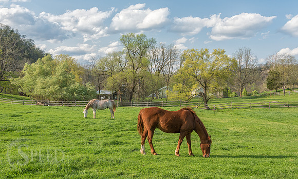 New River Trail State Park