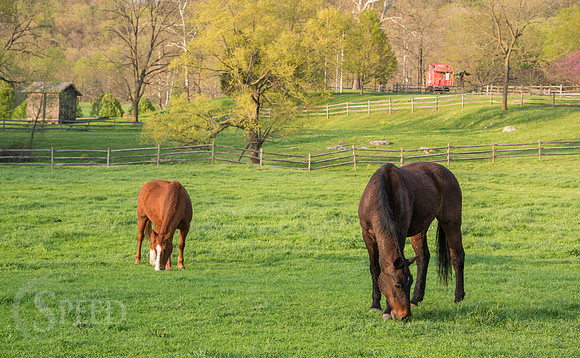 New River Trail State Park