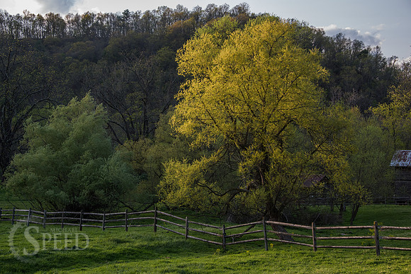 New River Trail State Park