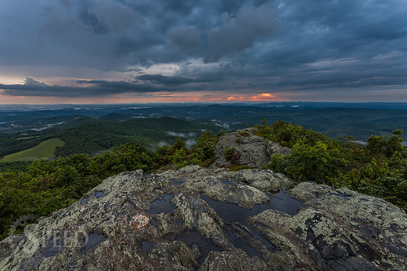 Buffalo Mountain Nature Preserve