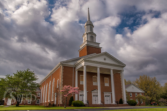 springtime in virginia