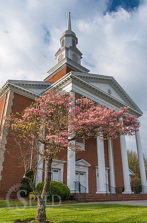 springtime in virginia