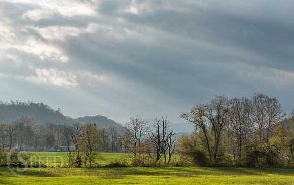 springtime in virginia