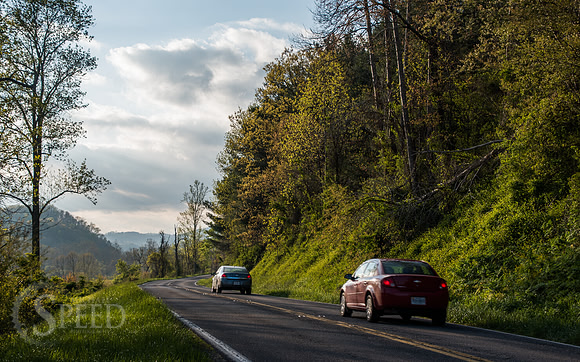 springtime in virginia
