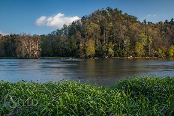 springtime in virginia