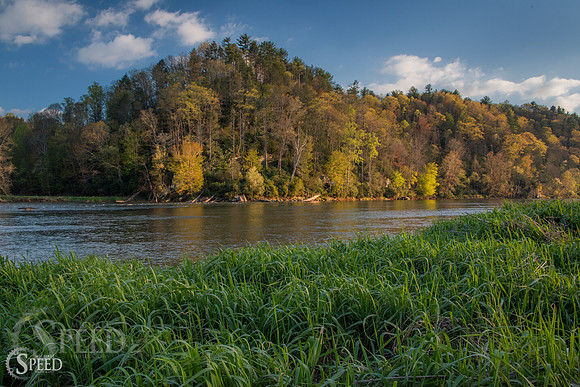 springtime in virginia