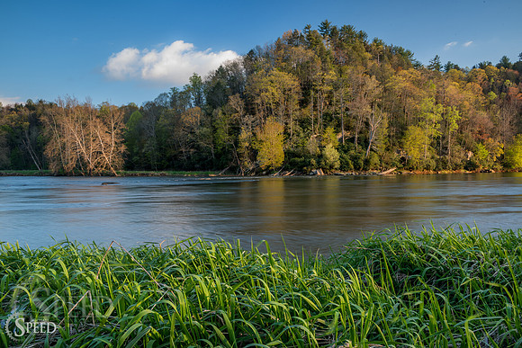 springtime in virginia