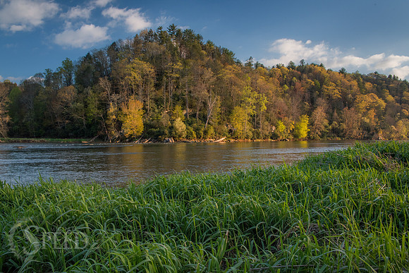 springtime in virginia