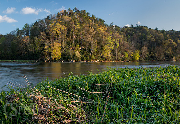 springtime in virginia