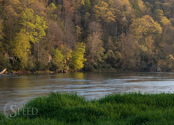springtime in virginia
