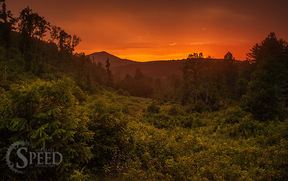 Buffalo Mountain Nature Preserve