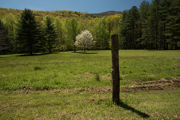 Rocky Knob
