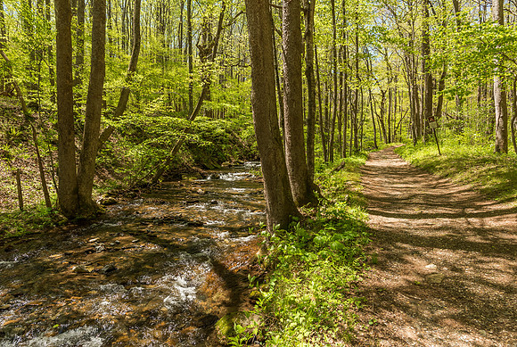 Rocky Knob