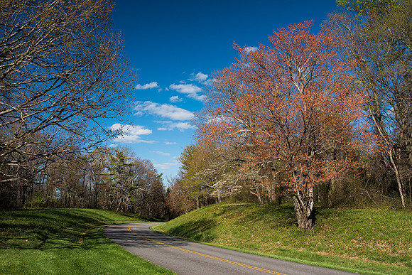 Rocky Knob