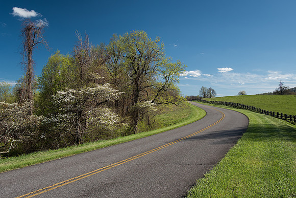 Rocky Knob