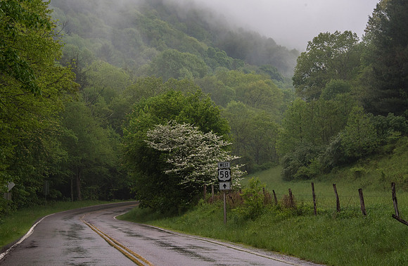 Whitetop Mountain Virginia
