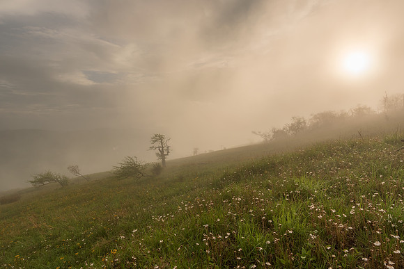 Whitetop Mountain Virginia