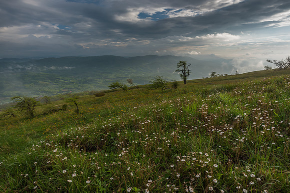 Whitetop Mountain Virginia