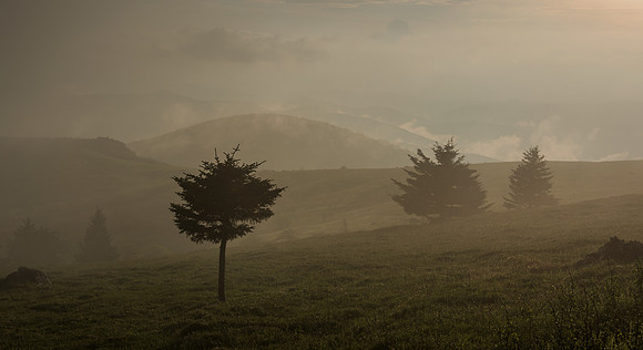 Whitetop Mountain Virginia