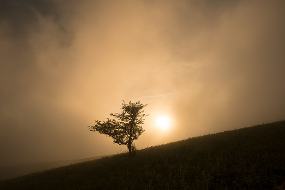 Whitetop Mountain Virginia