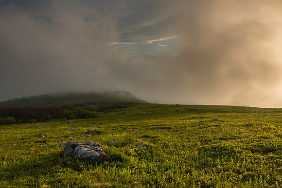 Whitetop Mountain Virginia