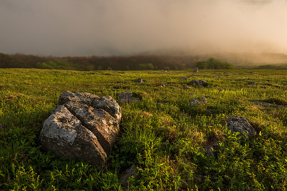 Whitetop Mountain Virginia