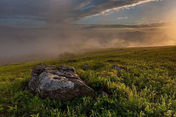 Whitetop Mountain Virginia