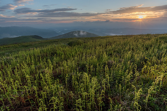Whitetop Mountain Virginia