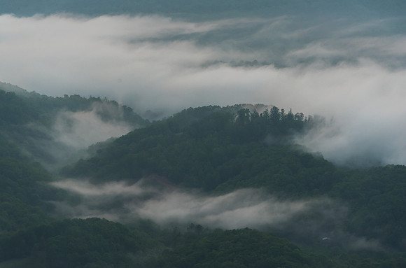 Whitetop Mountain Virginia